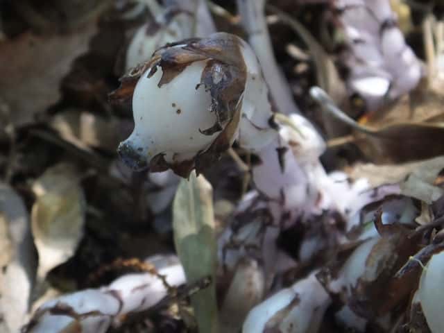 �M�������E�\�E