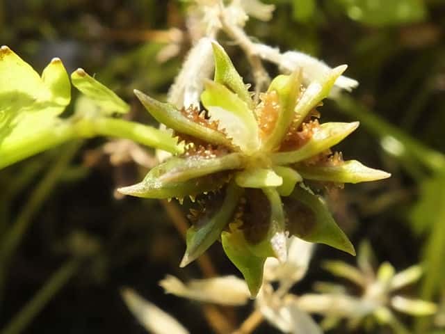 �g�Q�~�m�L�c�l�m�{�^��