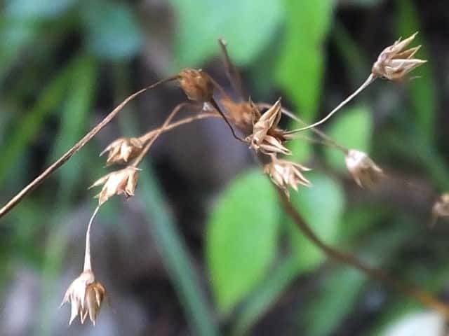 �k�J�{�V�\�E