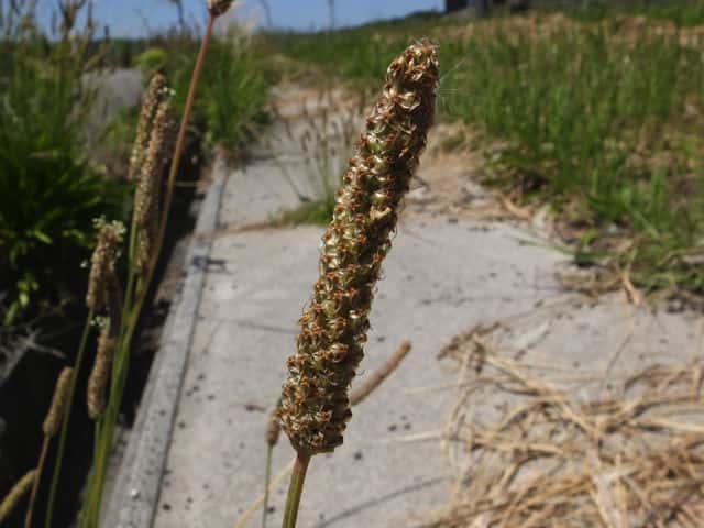 �w���I�I�o�R