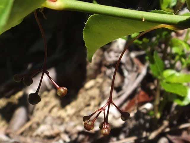 �����T�L�}���~