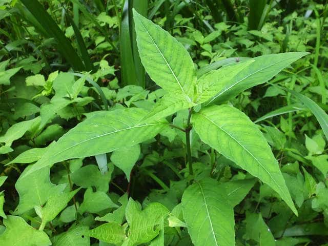 �~�Y�^�}�\�E