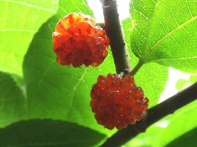 �q���R�E�]