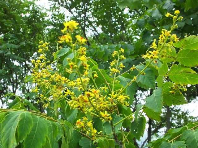 ���N�Q���W