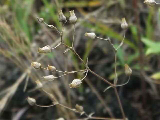 �l�o���m�~�m�c�d��