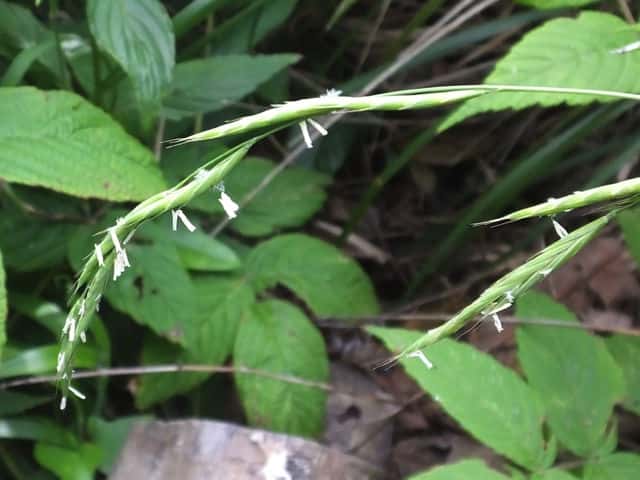 ���}�J���W�O�T