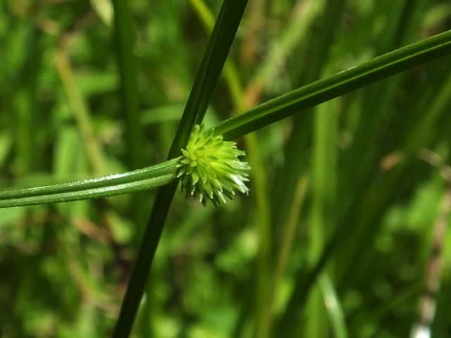 �A�C�_�N�O