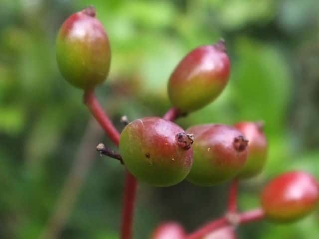 �~���}�K�}�Y�~