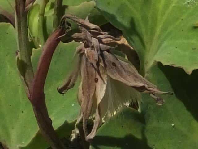 �n�}�j�K�i