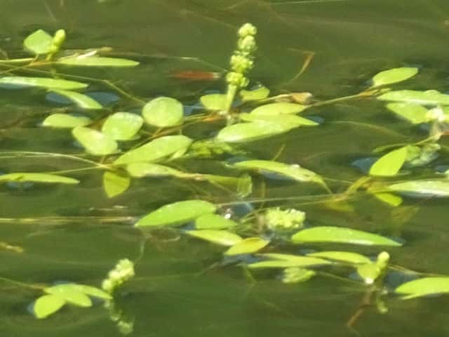 �z�\�o�~�Y�q�L��