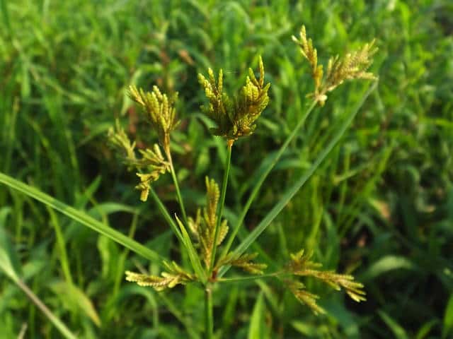 �R�S���K���c��