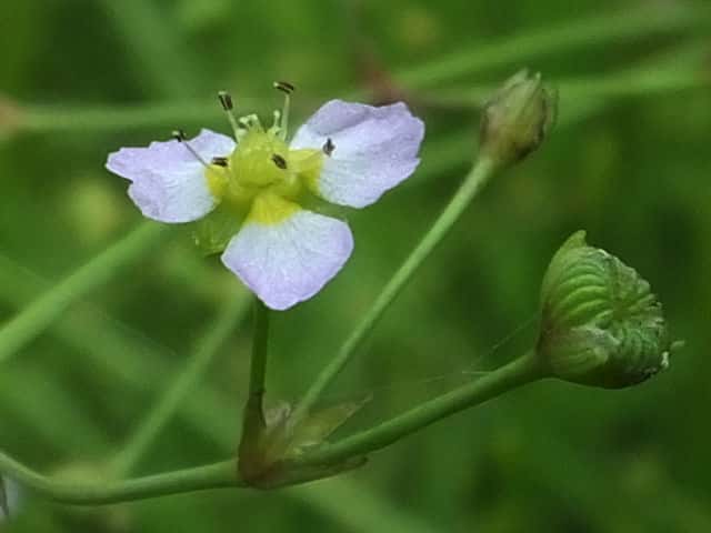 �w���I���_�J