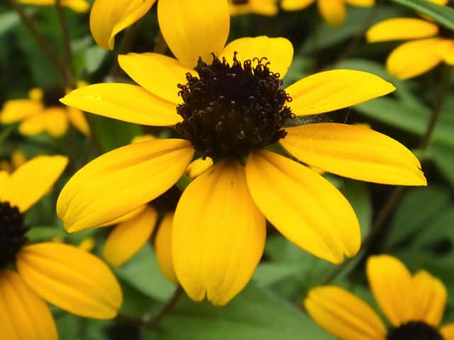 �~�c�o�I�I�n���S���\�E