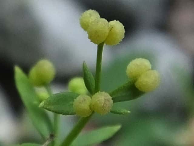 �q�����c�o���O��