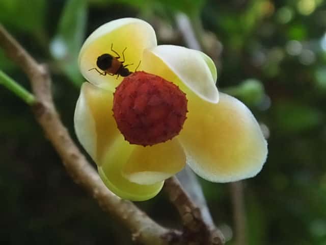 �T�l�J�Y��