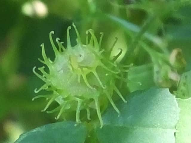 �E�}�S���V