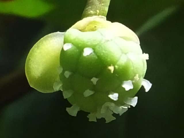 �T�l�J�Y��