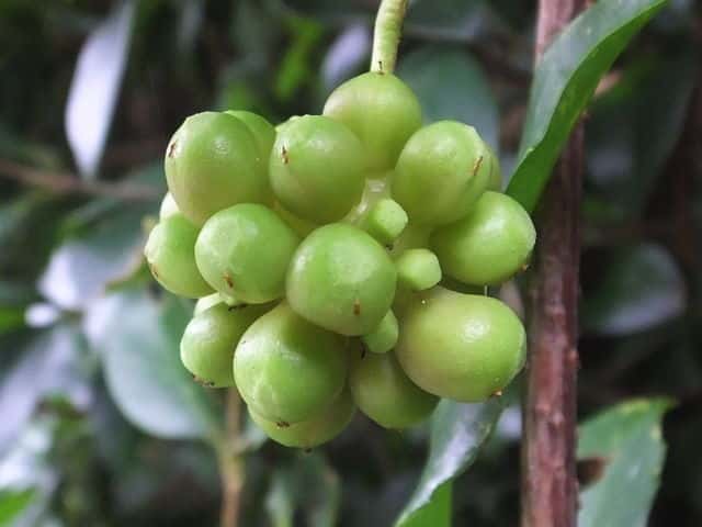 �T�l�J�Y��