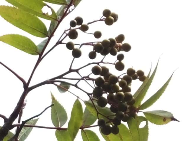 �i�i�J�}�h