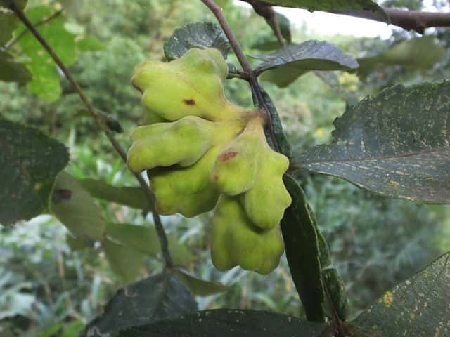 �k���f�~�~�t�V