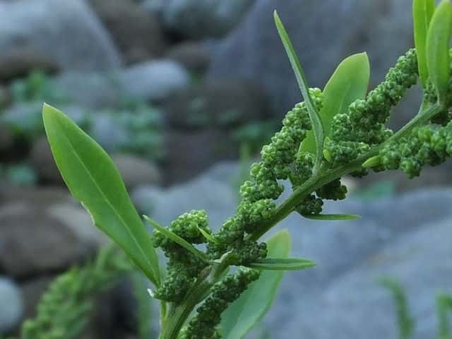 �z�\�o�A�J�U