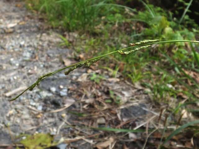 �R�S���X�Q