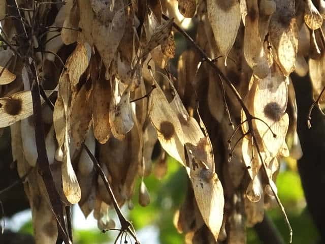 �j���E���V