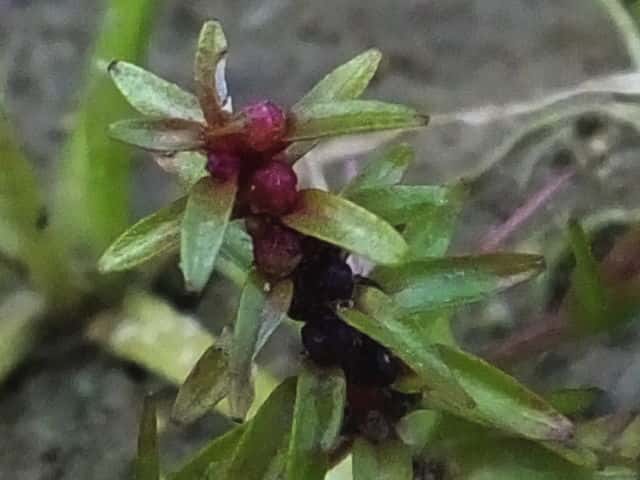 �~�Y�}�c�o