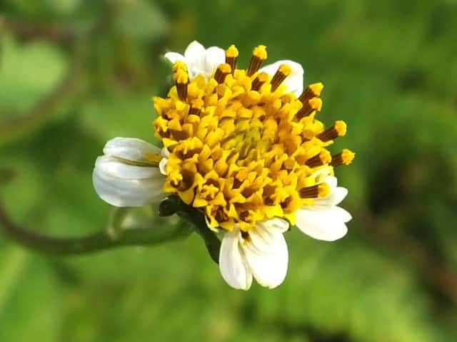 �A�C�m�R�Z���_���O�T