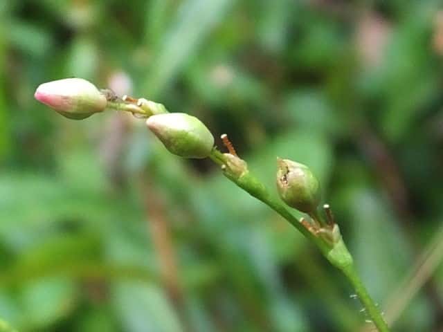 �z�\�o�m�E�i�M�c�J�~