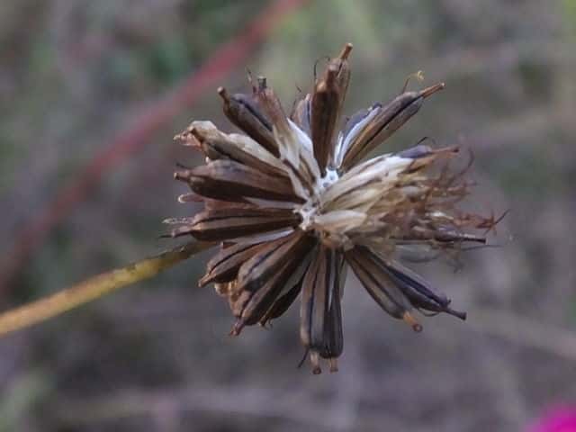 �I�I�n���V���M�N