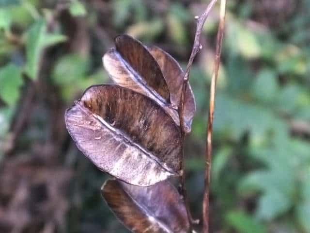 �I�j�h�R��