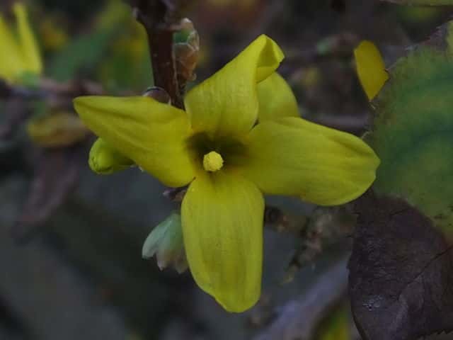 �����M���E