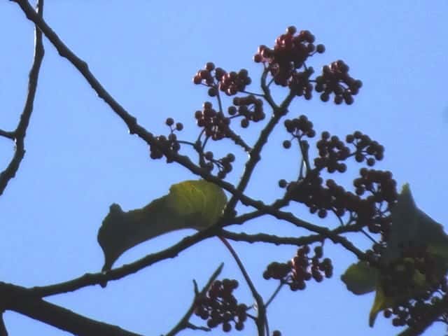 �^�}�~�Y�L