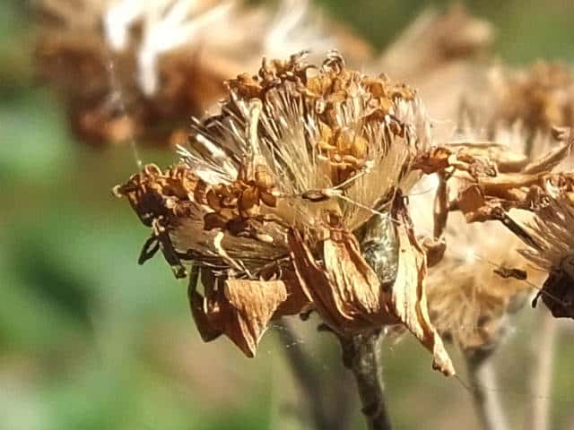 �^�}�o�V�������i