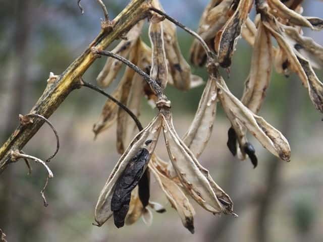 �g�E�M�{�E�V